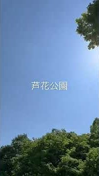 芦花公園 Youtube