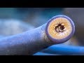 The Pacific Lamprey Your Ancient Neighbor The Pacific Lamprey Your Ancient Neighbor