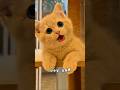 cat Humko Kam Karne Do🫢#cat #shorts