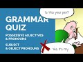 Possessive Pronouns and Ownership Quiz