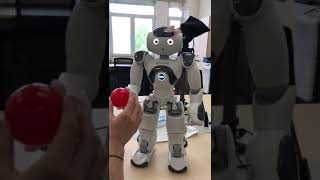 Humanoid NAO robot grabs object