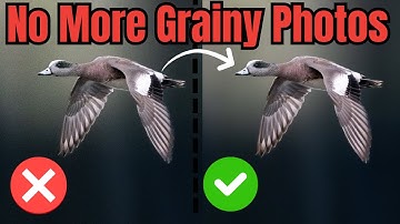 Why Your Photos Are So Grainy (and How to Fix It!) - Beginners Guide to Noise