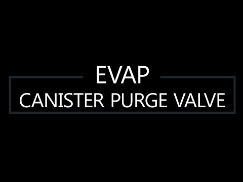 EVAP Canister Purge Valve DIY replacement for 2008 Acura MDX