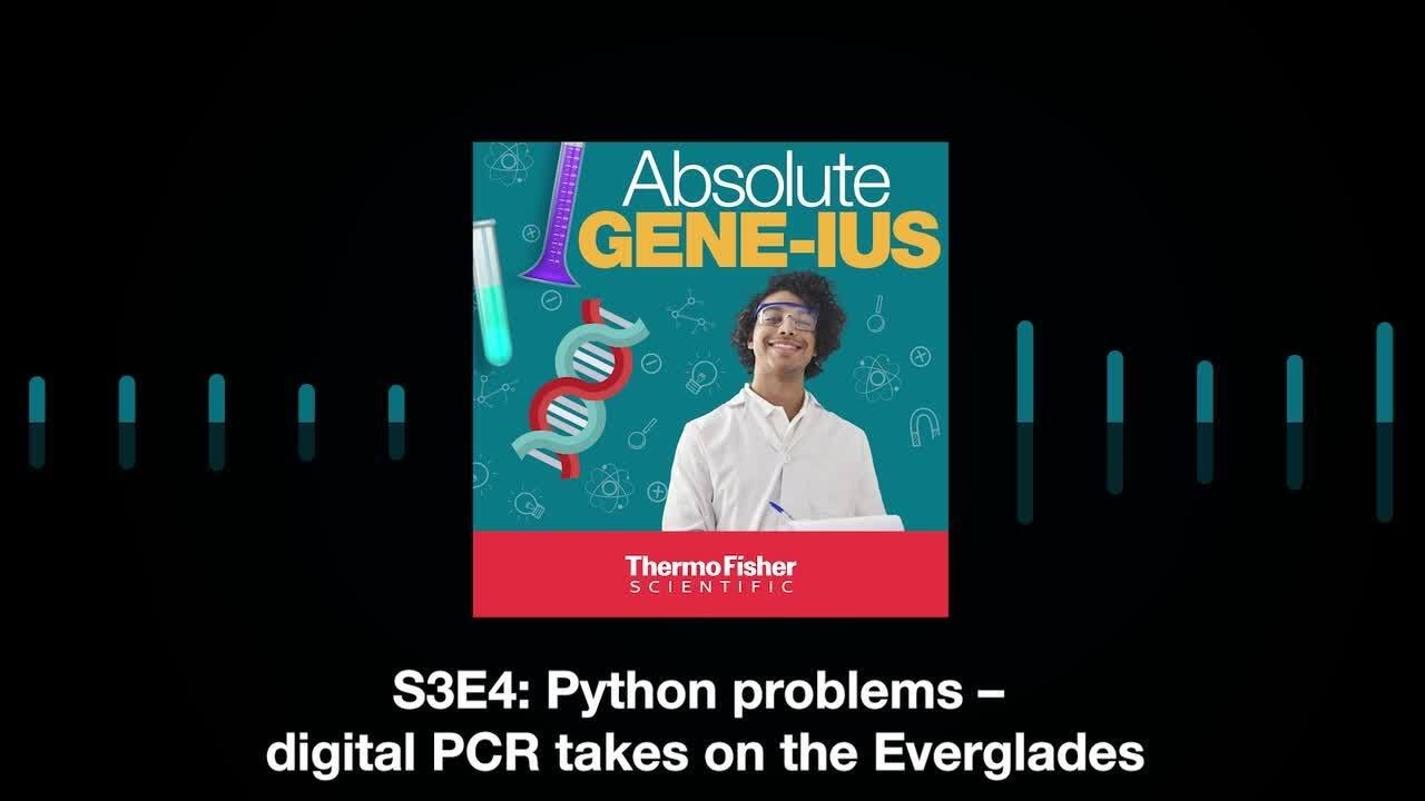 Python problems – digital PCR takes on the Everglades - YouTube