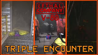 Lethal Company v80 | First Encounter with Backwater Gunkfish, Feiopar, and Cadaver Bloom