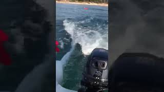 Suzuki 9.9 Bl Mirai 4 Mt Fiber Bot