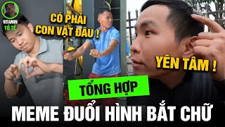 Meme Team To Te #7 - Laughing So Hard With Team PHD's Super Brain That Catches Words From Picture... screenshot 3