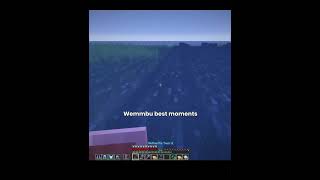 Best of Wemmbu