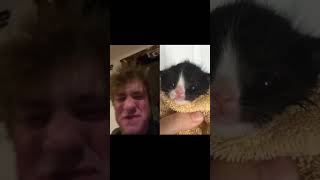 This Cat Burnt THIS MANS house to the Ground?! #shorts #cats