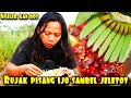 RUJAK PISANG HIJAU SAMBEL ULEG DI JAMIN NGILER