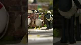 Ice Duck🐑🐑 #Shorts #Shaunthesheep #Cartoonforkids  #Fullepisodes #English #Animation