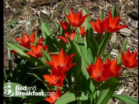 Adamstown Inns Cottages Adamstown Pennsylvania Youtube