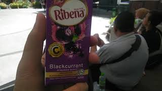 Ribena Blackcurrant Fruit Drink 200ml Showcase
