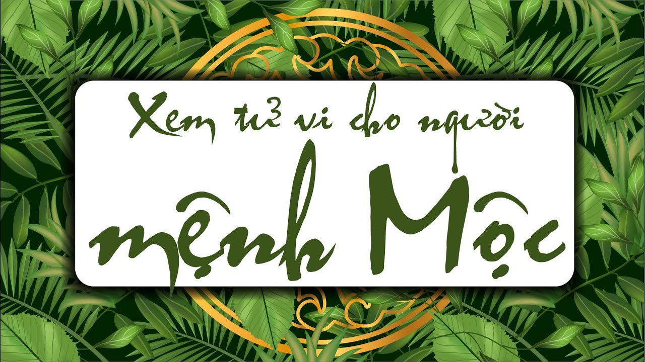 Xem tử vi người Mệnh Mộc | Định Hướng Nghề Nghiệp Cho Người Mệnh Mộc | Tử Vi Phong Thủy
