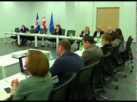 შსს-ში პოლიციის სამუშაო ჯგუფის შეხვედრა გაიმართა