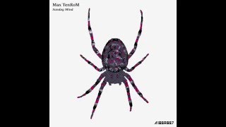 Max Tenrom - Mellow Original Mix A100R007