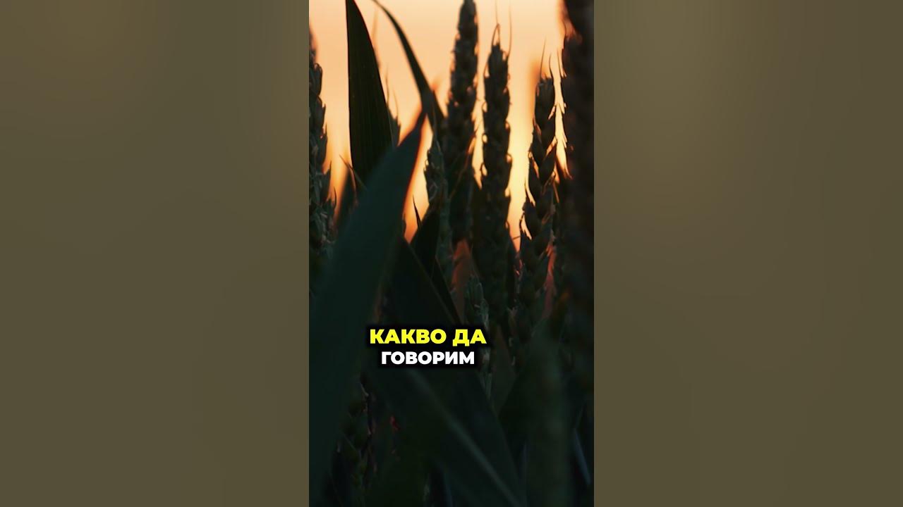 Не е вярно, че американски компании притежават украинска земеделска ...
