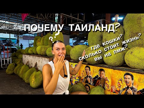 Где же наши кошки????Пробуем самы вонючий фрукт в мире. Отвечаем на ваши вопросы из ТГК!