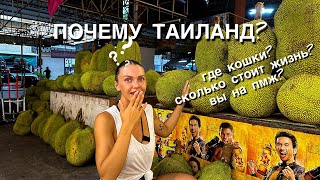 видео: Где же наши кошки????Пробуем самы вонючий фрукт в мире. Отвечаем на ваши вопросы из ТГК! картинка: Где же наши кошки????Пробуем самы вонючий фрукт в мире. Отвечаем на ваши вопросы из ТГК!