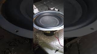 Philips subwoofer basstest! #bass #basstest #fyp #philips #excursion #subwoofer