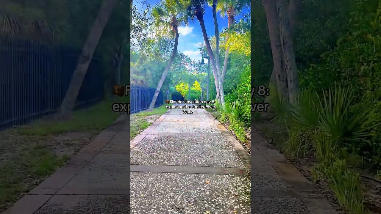 👟 Things to do in 