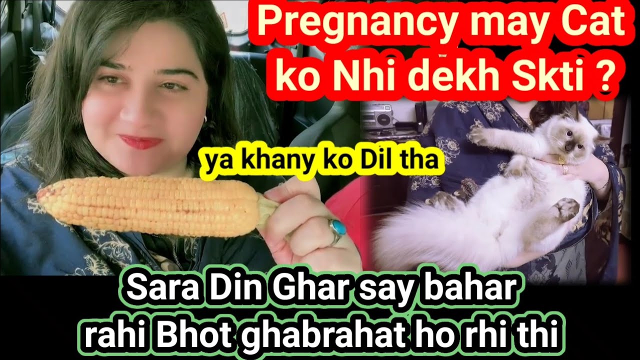 pregnancy-may-cat-nhi-dekh-sakthi-dil-ghabra-raha-tha-sara-din-bahar