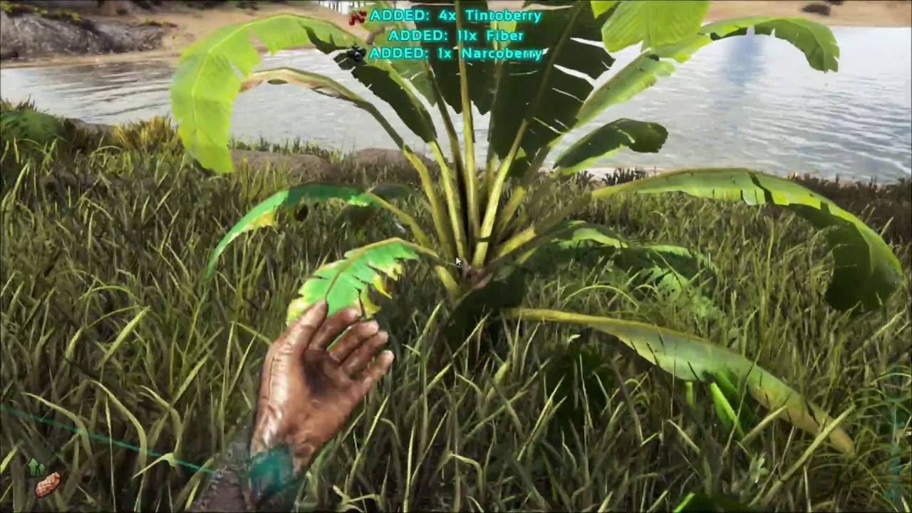 How to get Savoroot Seed ARK Survival Evolved YouTube