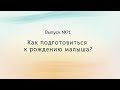 Как подготовиться к рождению малыша?