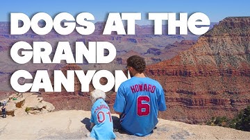Bringing Your Dog to the Grand Canyon