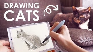 Drawing At Cat Cafe Lets Go