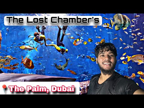 The Lost Chambers Aquarium 🤩| Dubai