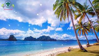 Download Lagu tamil Ringtones mp3 for mobiles free download