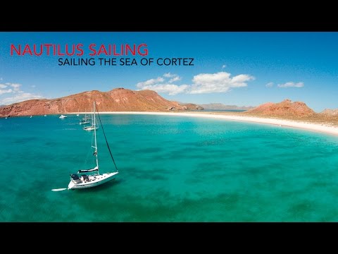 Learn to SAIL in the Sea of Cortez!