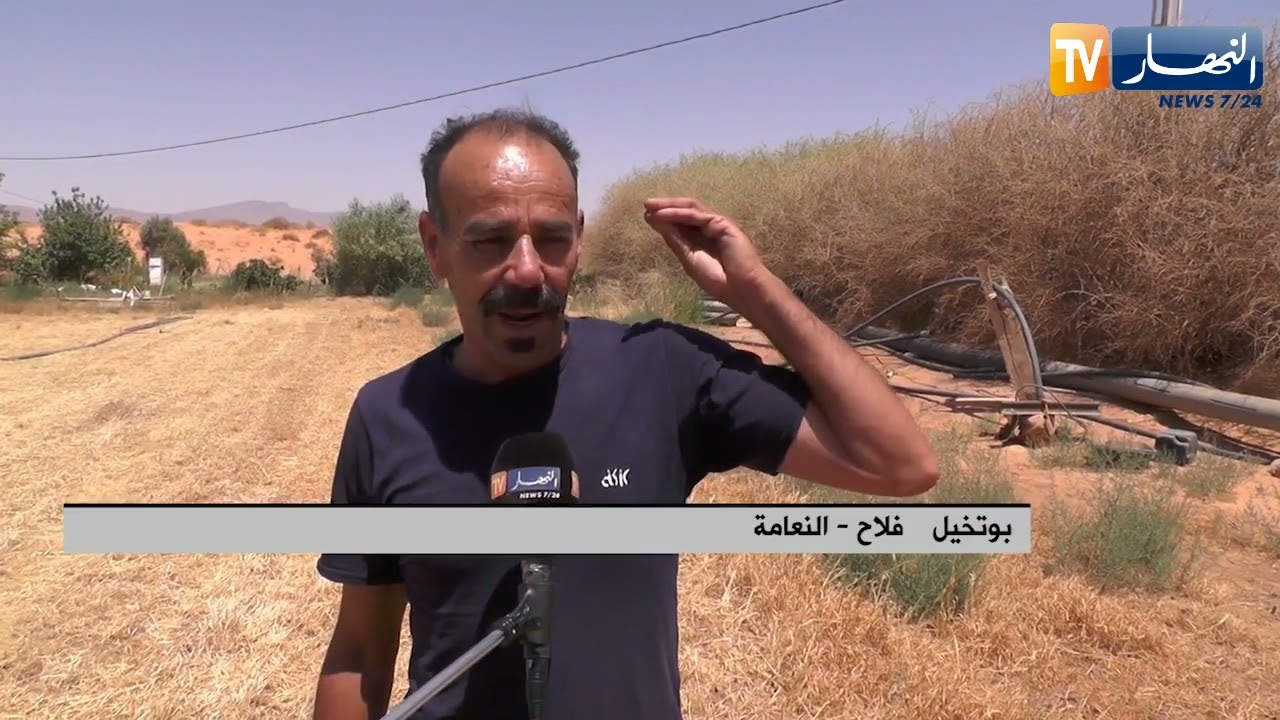 النعامة : فلاحو منطقة 