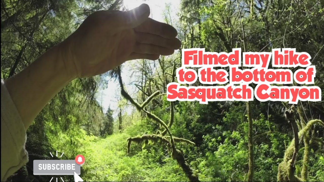 Filmed Hike to the bottom of dangerous Sasquatch Canyon and back up