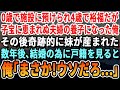 【感動する話】0歳の時に施設に入れられ4歳で裕福な子宝に恵まれぬ夫婦の養子になった。俺が中学の時に奇跡的に妹が生まれた。8年後、俺が結婚のために戸籍を見ると「え…まさか！嘘だろ…」俺は涙が止まらずに…