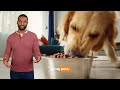 Pet Nutrition Explained – How to Keep Your Pets Healthy and Happy