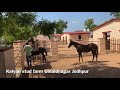 Stud farm design best for horses in india