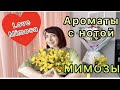 Ароматы с нотой МИМОЗЫ💛