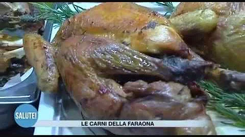 Che tipo di carne e la faraona?