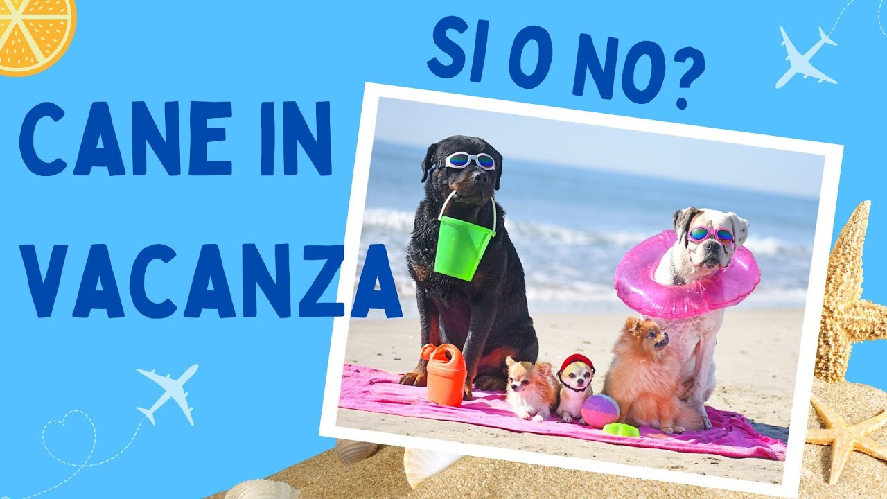 Portare il cane in vacanza