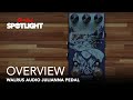 Walrus Audio Julianna Chorus/Vibrato Pedal - Everything You Need To Know