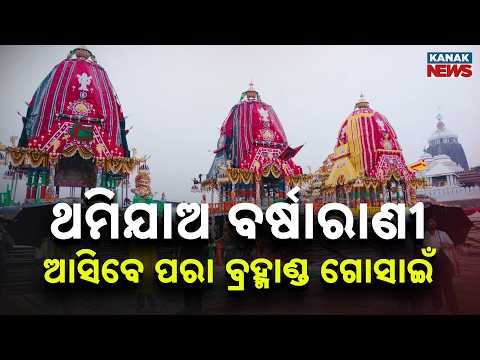 Divine Scene! Lord Balabhadra and Maa Subhadra Seated on Their Chariots, Kalia Yet to Arrive