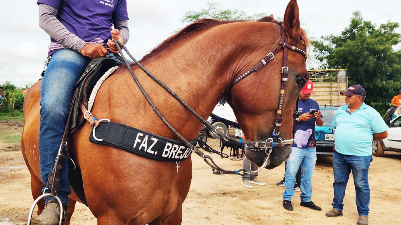 FEIRA DE CAVALOS EM ALTINHO-PE   28-02-2026 #nordeste