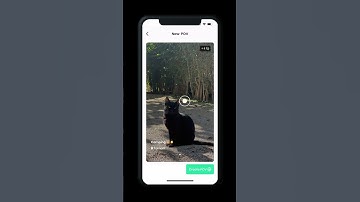 HOW DO I CREATE A POV FROM MY PUBLIC GALLERY? - Moments