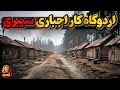 تاریخچه گولاگ اردوگاه مرگ یا اردوگاه کار اجباری شوروی تاریخچه گولاگ اردوگاه مرگ یا اردوگاه کار اجباری شوروی