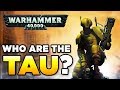 THE TAU - RACE OVERVIEW - Beginner