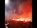 كده كده يا زمالك