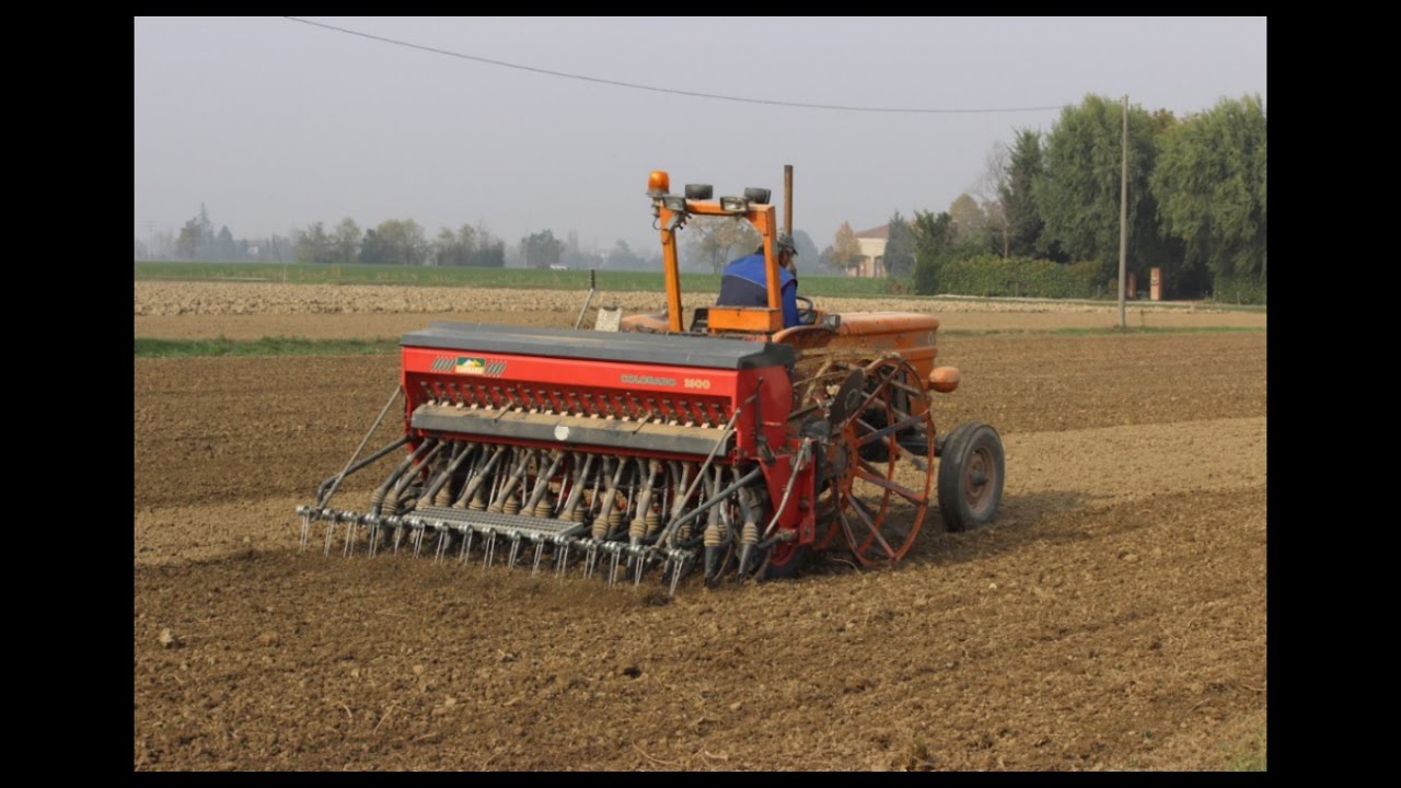 Fiat 600 with Carraro Seeder in Sowing Wheat - Fiat 600 con Seminatrice Carraro in Semina Frumento.