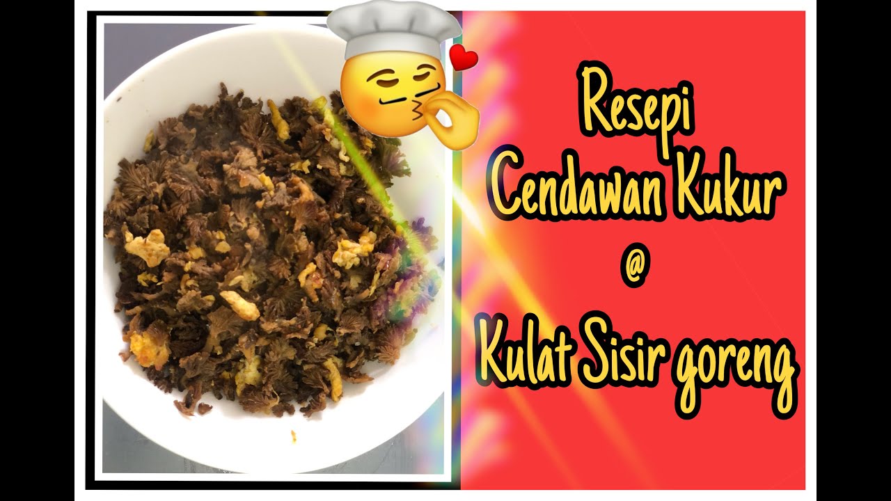 Resepi Kulat Sisir Cendawan Kukur Goreng Yang Simple Youtube